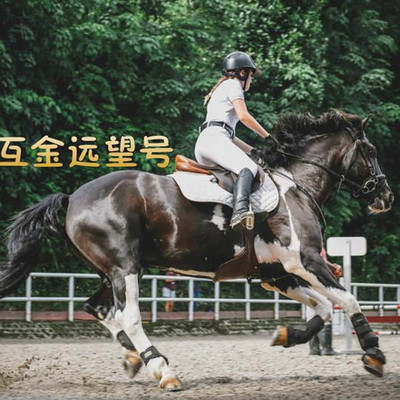 强东哥托梦,哪两家北京头部平台出了问题? 强东哥托梦,哪两家北京头部平台出了问题?