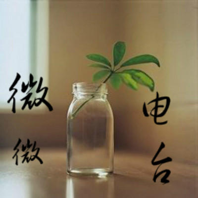 微电台 微电台