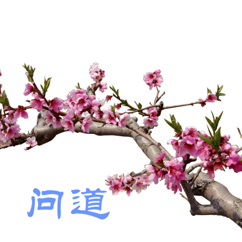 问道