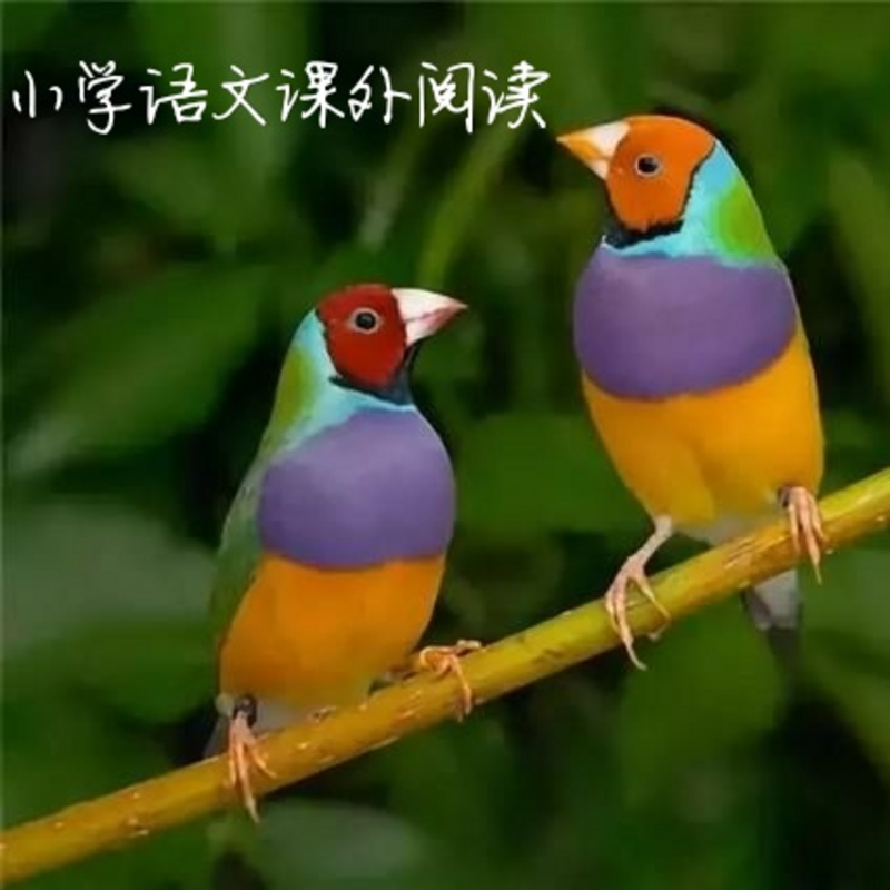 小学语文课外阅读