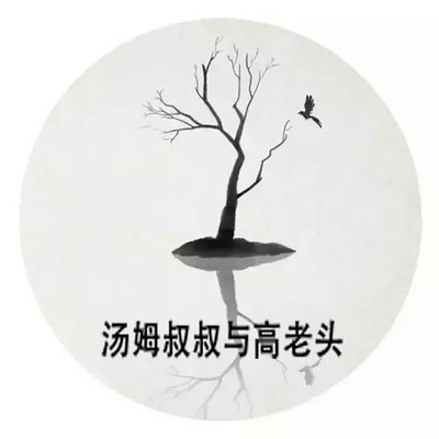 汤姆叔叔与高老头·青谛