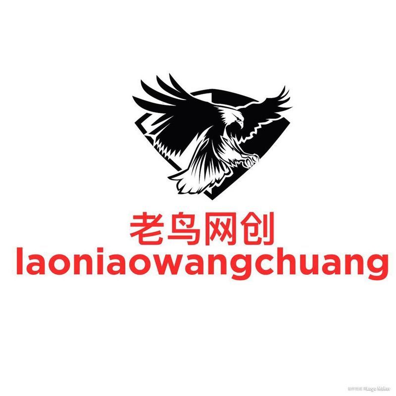 老鸟网创特训营