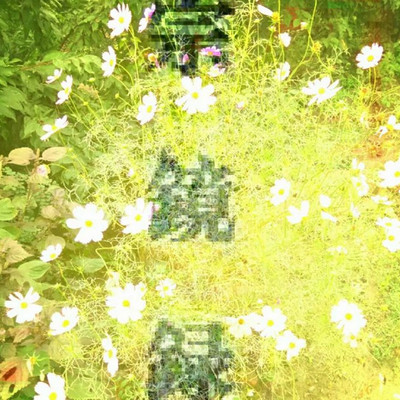 《宗镜录》念诵 《宗镜录》念诵