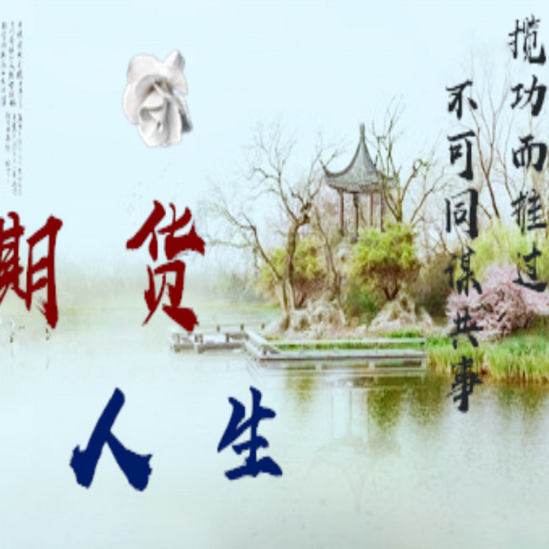 期货人生