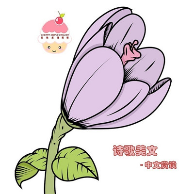 诗歌美文-樱桃乐活夜读 诗歌美文-樱桃乐活夜读