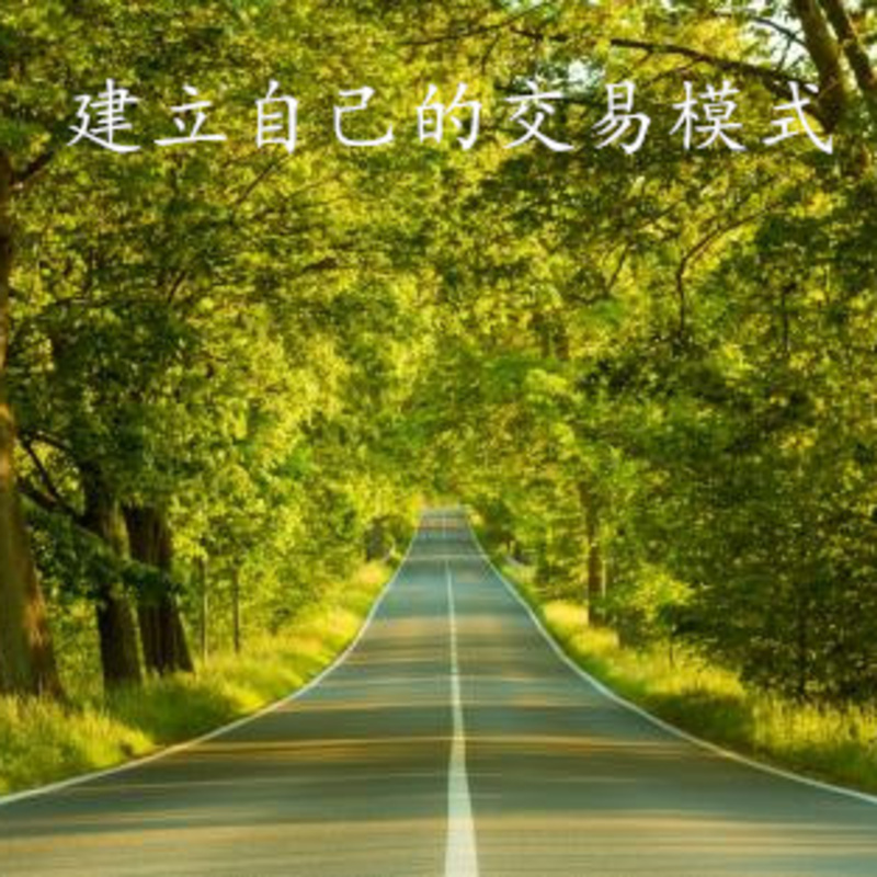 建立自己的交易模式