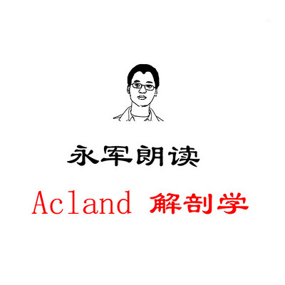 永军朗读Acland 解剖学