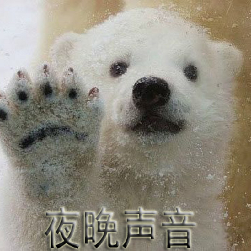 夜晚声音
