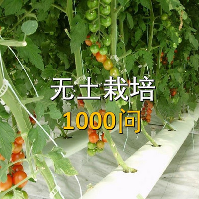 无土栽培1000问