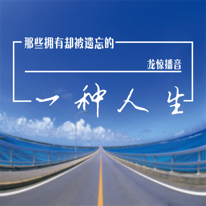 一种人生