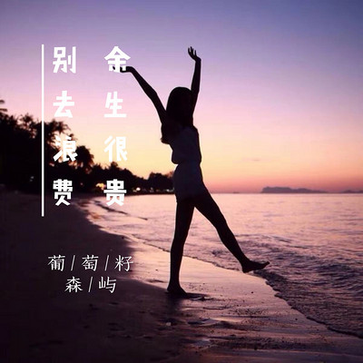 心灵葡萄酒