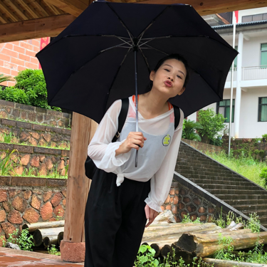 吴桐就是梧桐