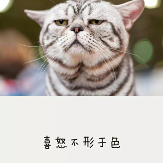 喜怒不形于色