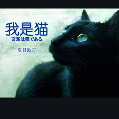 我是猫