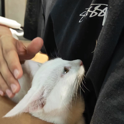 亮点亮