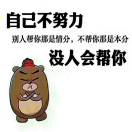 Andy抖音