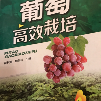 葡萄高效栽培