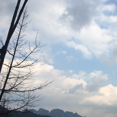 飞鸟集
