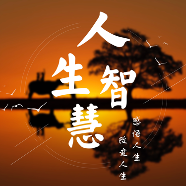 小王人生课