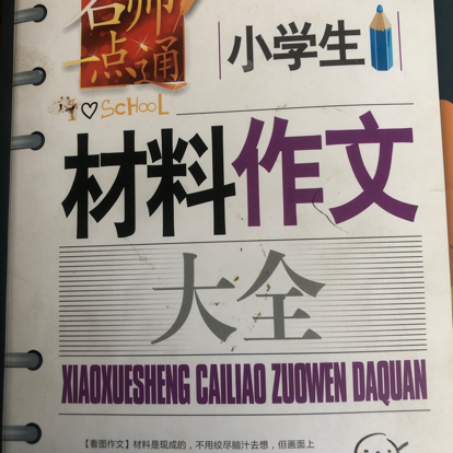 小学生材料作文大全