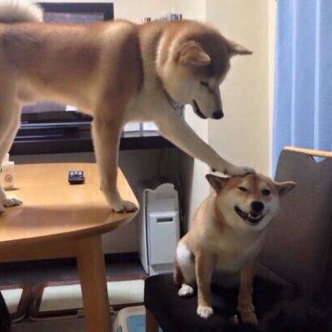 一开始
