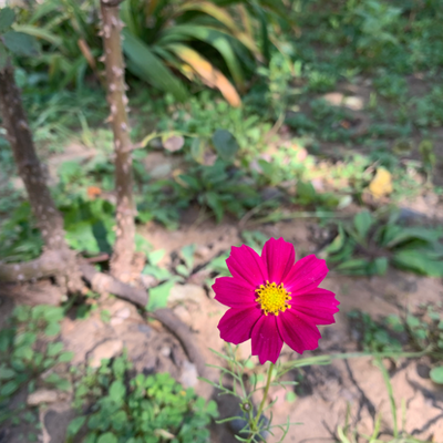 中国传统节日