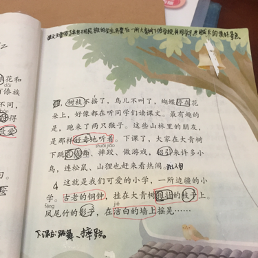 大青树下的小学