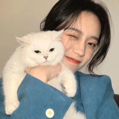 LT.小瓶盖