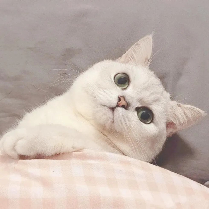 生活