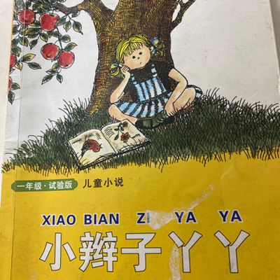 小辫子丫丫