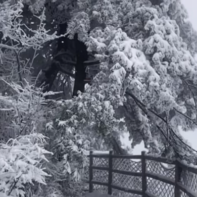 雪