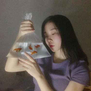 凌壹