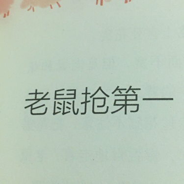 老鼠抢第一