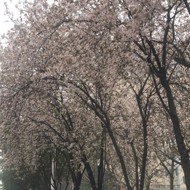 随口一句
