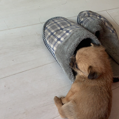 需要情商智商结合起来