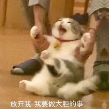 日常