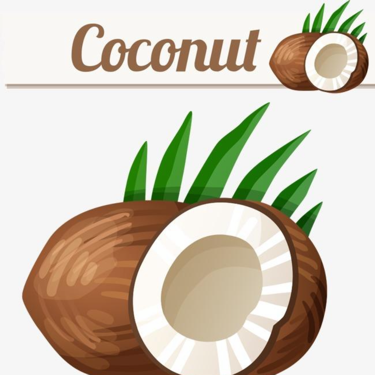 coconut小椰子