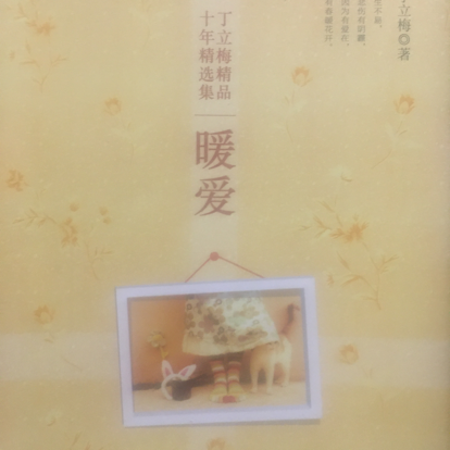 丁立梅精品集