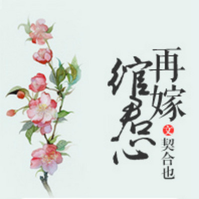 再嫁绾君心 再嫁绾君心