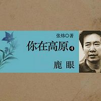 你在高原(第四部):鹿眼