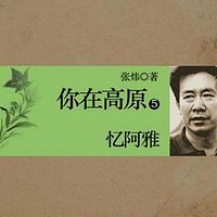 你在高原(第五部):忆阿雅