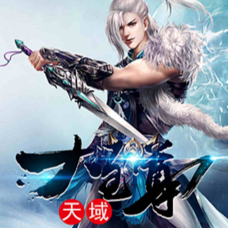 天域大至尊