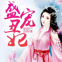盛宠丑妃