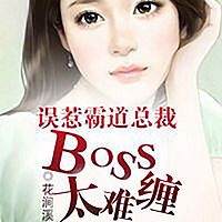 误惹霸道总裁，BOSS太难缠