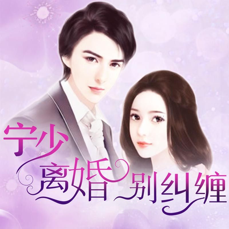 宁少，离婚别纠缠