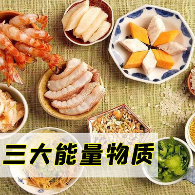 三大能量物质 (蛋白质、脂肪和糖) 三大能量物质 (蛋白质、脂肪和糖)