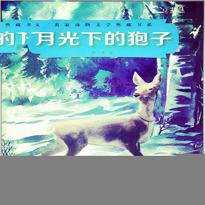 月光下的狍子 月光下的狍子