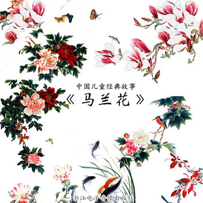 马兰花 马兰花