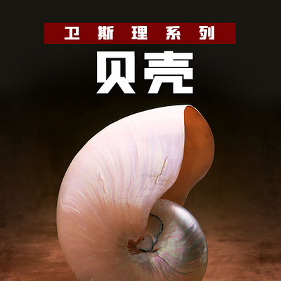 贝壳(卫斯理珍藏版) 贝壳(卫斯理珍藏版)