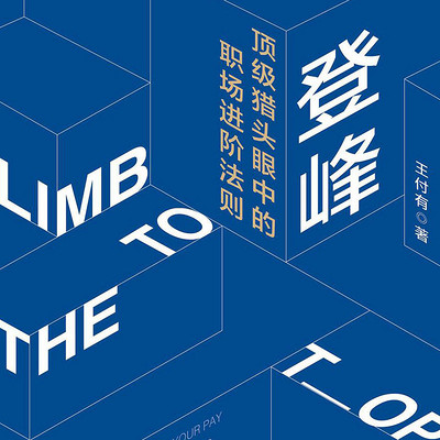 《登峰:顶级猎头眼中的职场 晋阶法则》 《登峰:顶级猎头眼中的职场 晋阶法则》